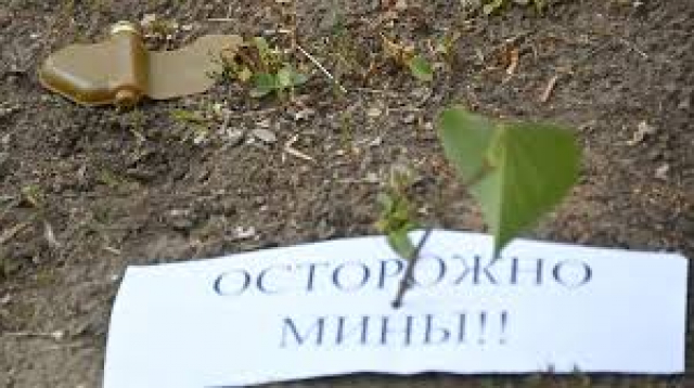 В селе Каменка на мине подорвался местный житель