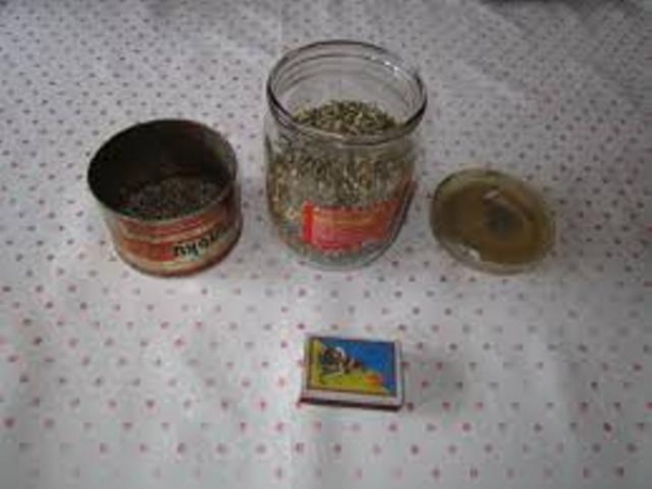 Грибника уличил в употреблении наркотиков