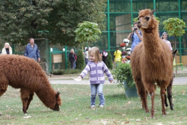 «Feldman Ecopark» посетили более 200 детей
