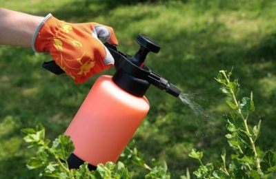 Инсектицид Калипсо: назначение, применение, инструкция