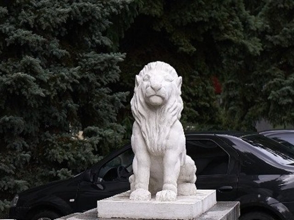 Новые львы поразят харьковчан