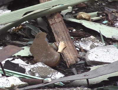 Четверо человек в Изюмском районе пострадали во время взрывов мин и боеприпасов