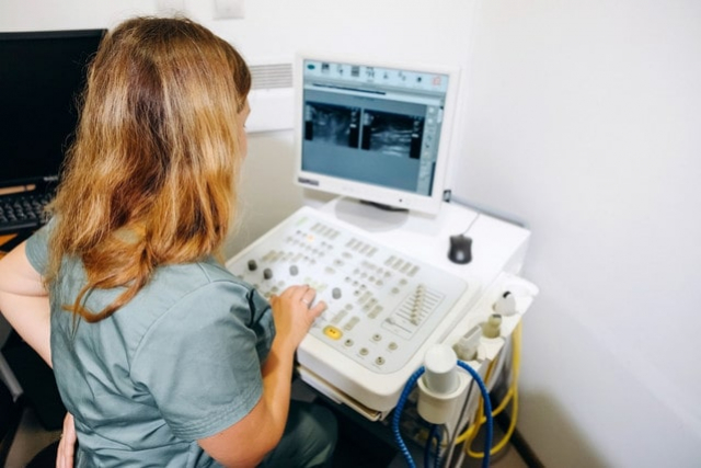 В каких случаях назначают УЗИ собаке?