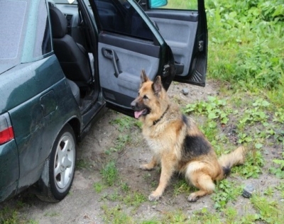 Макс нашел наркотики 