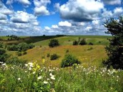 На Харьковщине увеличат природно-заповедный фонд