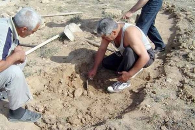 Харьковские археологи показали свои находки