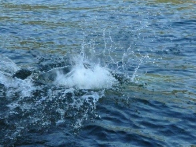 Спасая ребенка, в Харькове утонул пожилой мужчина