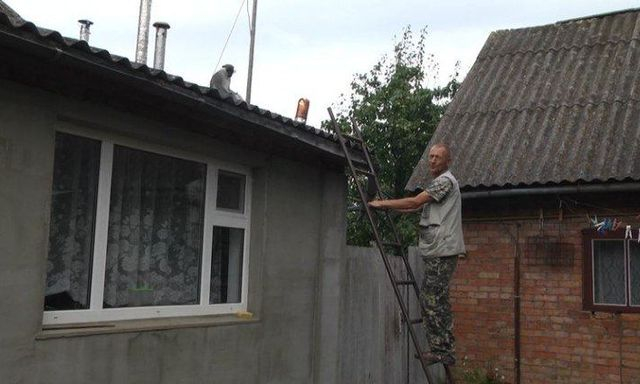 В Хмельницкой области обезьяна, эвакуированная из Харькова, укусила девочку