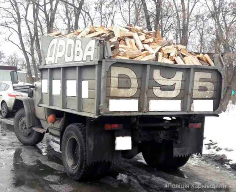В Харькове снова незаконно рубят лес