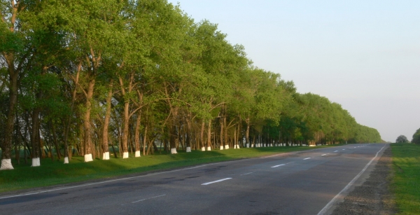 Экологи волнуются о здоровье харьковчан