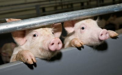 В Харькове объявлен карантин АЧС