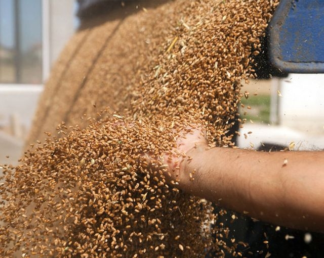 Vektor Сompany Group приступил к строительству завода-гиганта под Харьковом