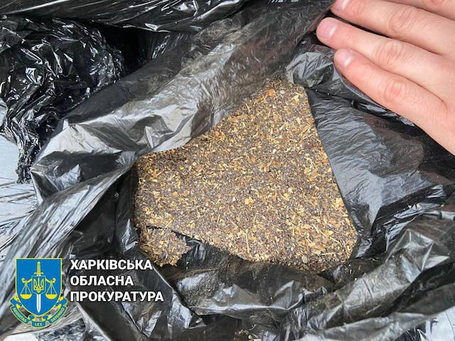 Трое харьковчан предстанут перед судом - торговали маковой соломкой в больших объемах