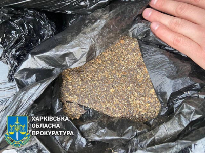 Трое харьковчан предстанут перед судом - торговали маковой соломкой в больших объемах