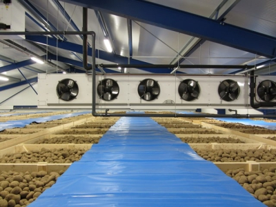 Вентиляція овочесховищ: види, особливості роботи та вибору