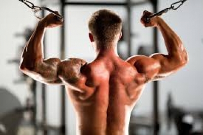 Открылся сезон занятий воркаутом