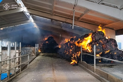 Вражеский удар уничтожил ферму в Боровской громаде – погиб скот (фото)