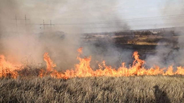 Пожар уничтожил «Ковыльную степь» под Харьковом (видео)