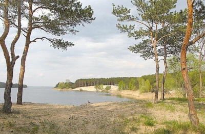 В водохранилище Боровского района нашли холерный вибрион