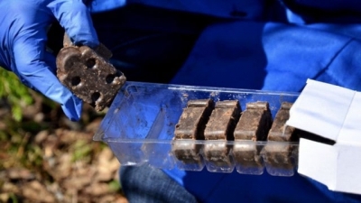 На Харьковщине – массовая иммунизация диких животных от бешенства