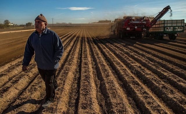 Аграрии Харьковщины получат скидку от нефтетрейдинговых компаний