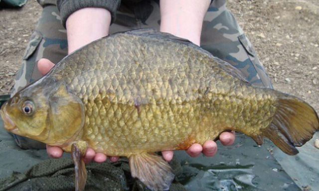 На Оскольском водохранилище поймали рыбного браконьера
