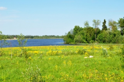 На Основе хотят построить эко-поселок