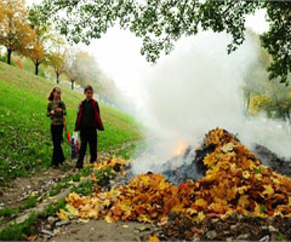 Горожане пожаловались на соседей, сжигавших листву