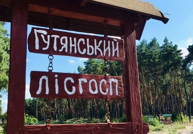 Мастер леса предстанет перед судом – допустил вырубку леса