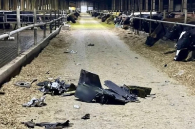 Сельхопредприятие в Мокрой Ракитной атаковали 12 «Шахедов» – погиб скот, много разрушений