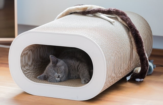 Выбираем домик для кота: виды, особенности, плюсы и минусы