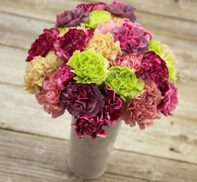 Какие цветы лучше подарить девушке 14 февраля на День Святого Валентина?