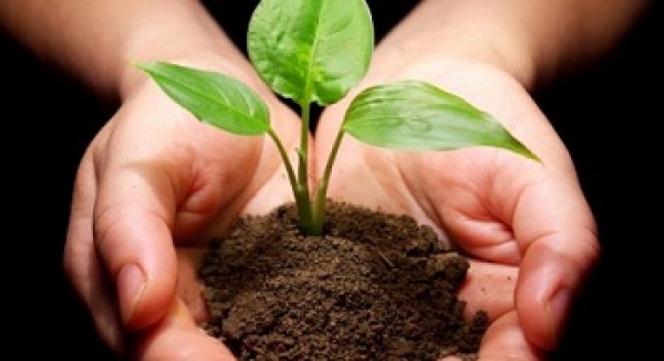 В Жихаре реконструируют парковую зону