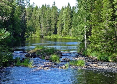 Школьников привлекают к природоохранной деятельности