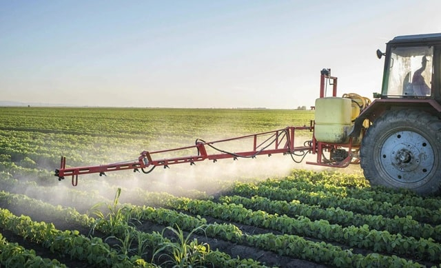 Гербіциди суцільної дії: призначення та застосування