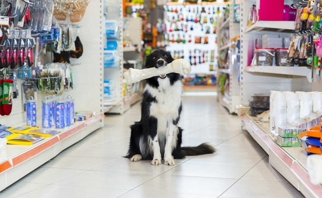 Как найти хороший зоомагазин онлайн с большим выбором товаров для животных