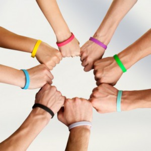 Стартовал новый сезон «Школы волонтеров»