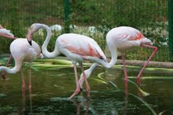 Харьковчане стали меньше посещать зоопарк