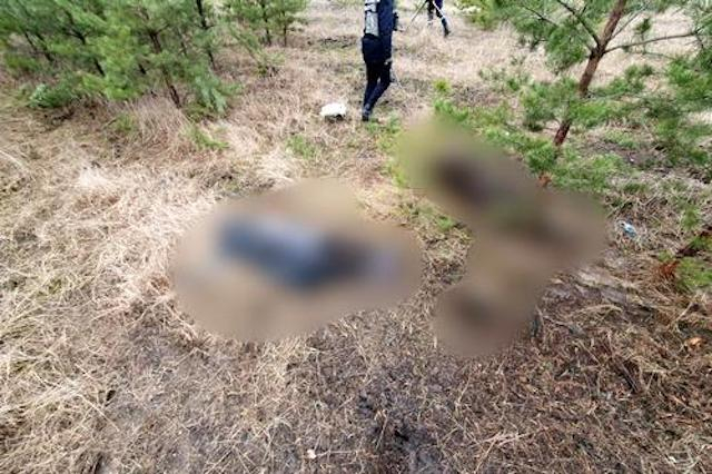 Возле поселка Боровая на растяжке в лесу подорвались супруги