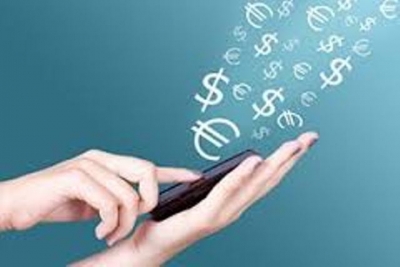 Молдованин обманывал Министерство доходов