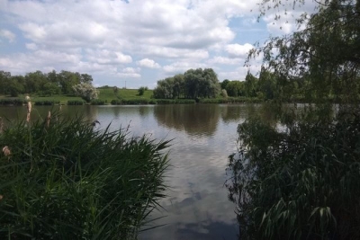 В заливе на Журавлевке нашли утонувшего мужчину