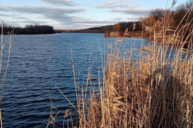 Прокуратура через суд остановила незаконное использование ставка