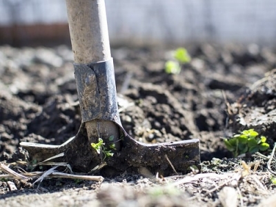 ЧП в поселке Коротич – через полгода после родов тело ребенка закопали в огороде