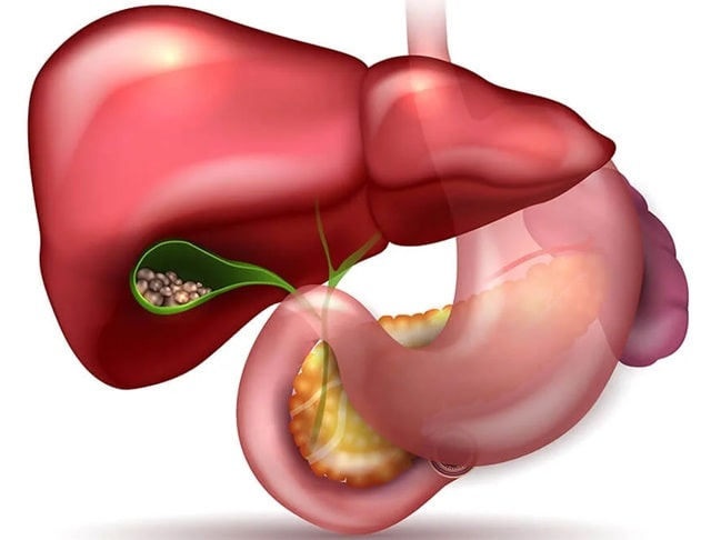 Гепатобилиарная система (ГБС): что это такое, распространенные заболевания и их особенности