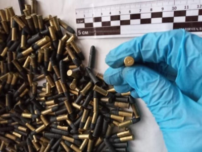 У жителя Староверовки обнаружили 500 патронов калибра 5,6 мм