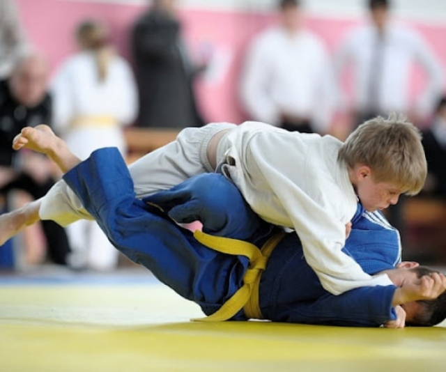На турнире памяти Малинки харьковские дзюдоисты завоевали 19 наград