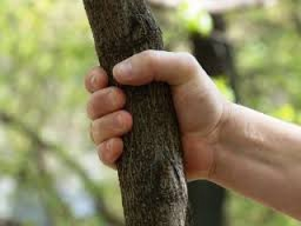 Преступник и избил девушку палкой