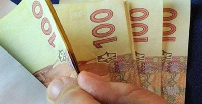 Штраф за нелегальных сотрудников заплатит ветеринарная клиника