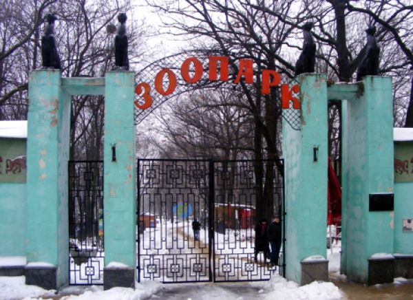 Животным в зоопарке пора помочь