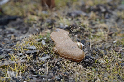 Рыбалка стала опасным занятием - у водоемов много мин